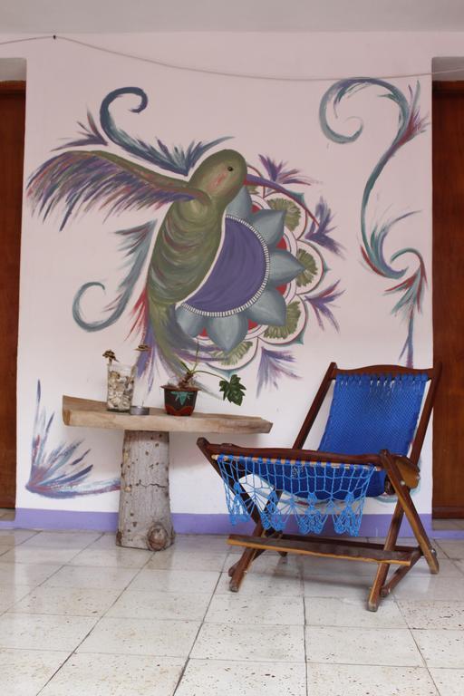 Akasha Hostel Merida מראה חיצוני תמונה