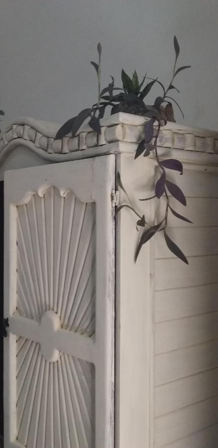 Akasha Hostel Merida מראה חיצוני תמונה