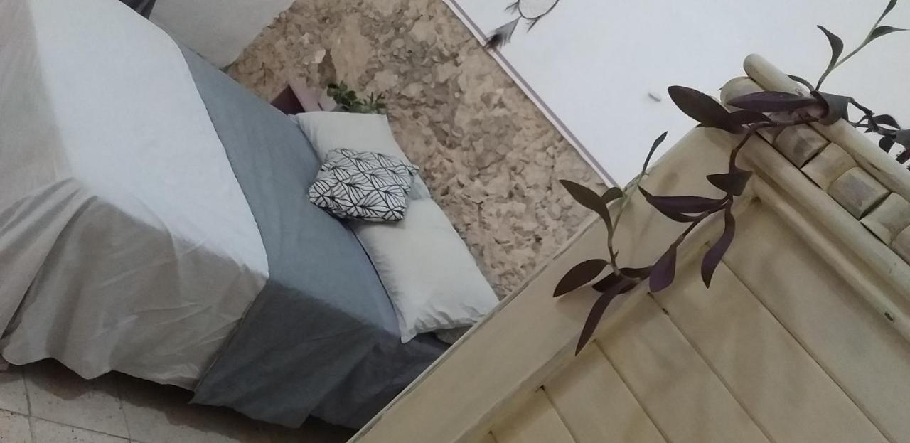 Akasha Hostel Merida מראה חיצוני תמונה